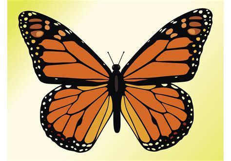 mariposa monarca dibujo-4